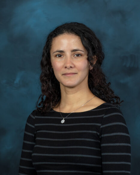 ORNL Placeholder Image