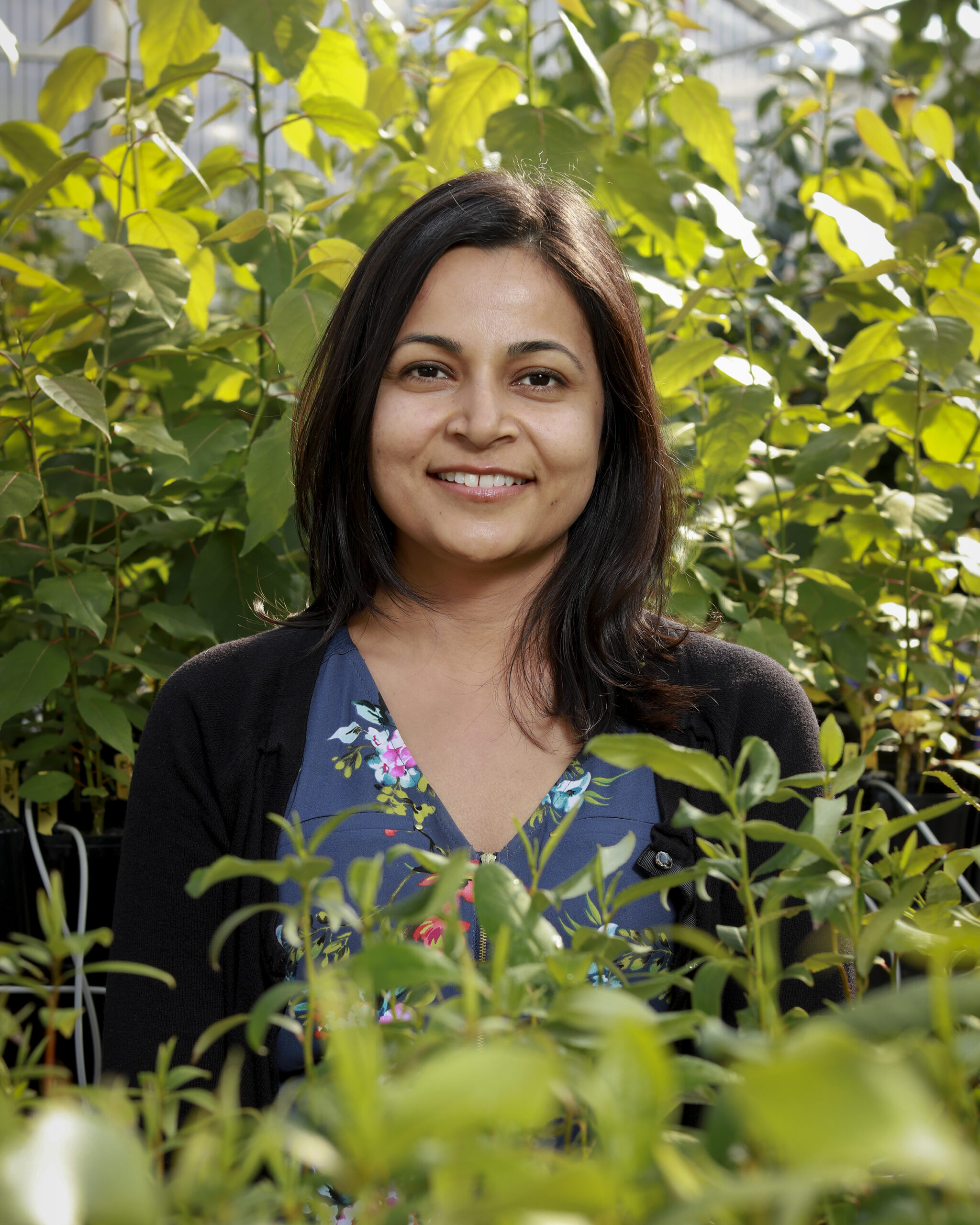 ORNL’s Udaya Kalluri brings lab resources together for studies of plants.