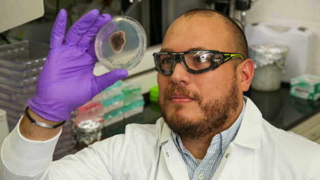 ORNL Placeholder Image