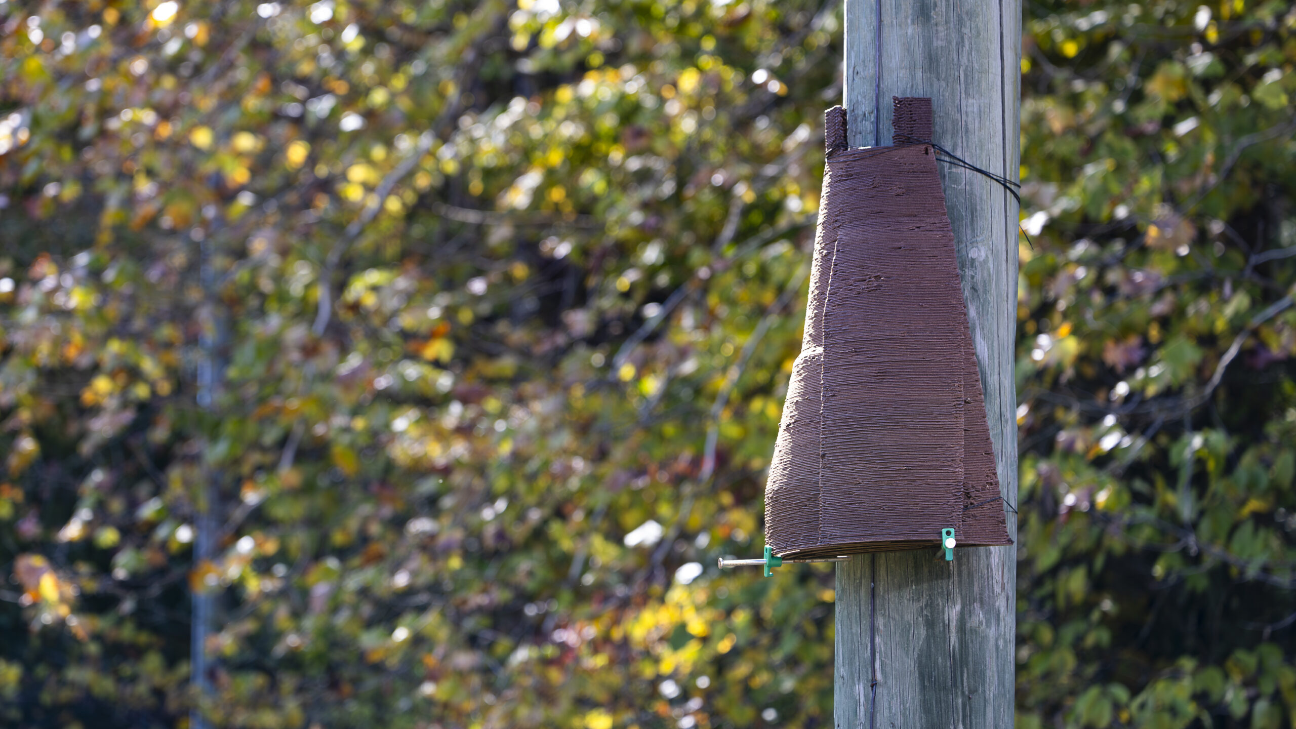 Pictured is a 3D printed roosting structure for bats.