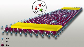 ORNL Placeholder Image