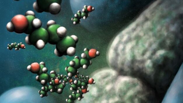ORNL Placeholder Image