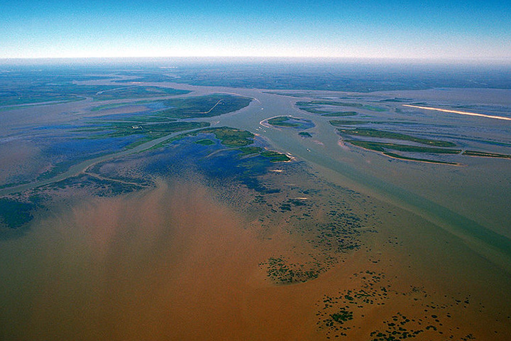 Arial view of the Atchafalaya Basin