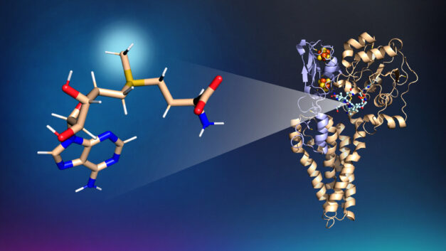 ORNL Placeholder Image