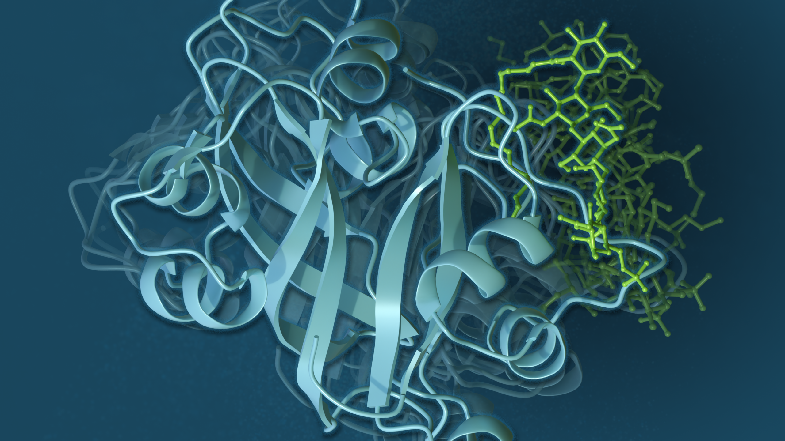 Shown here is an Illustration of predicted binding modes between a large, flexible ligand and its protein receptor, depicting the dynamics influencing the strength of the molecular interactions.