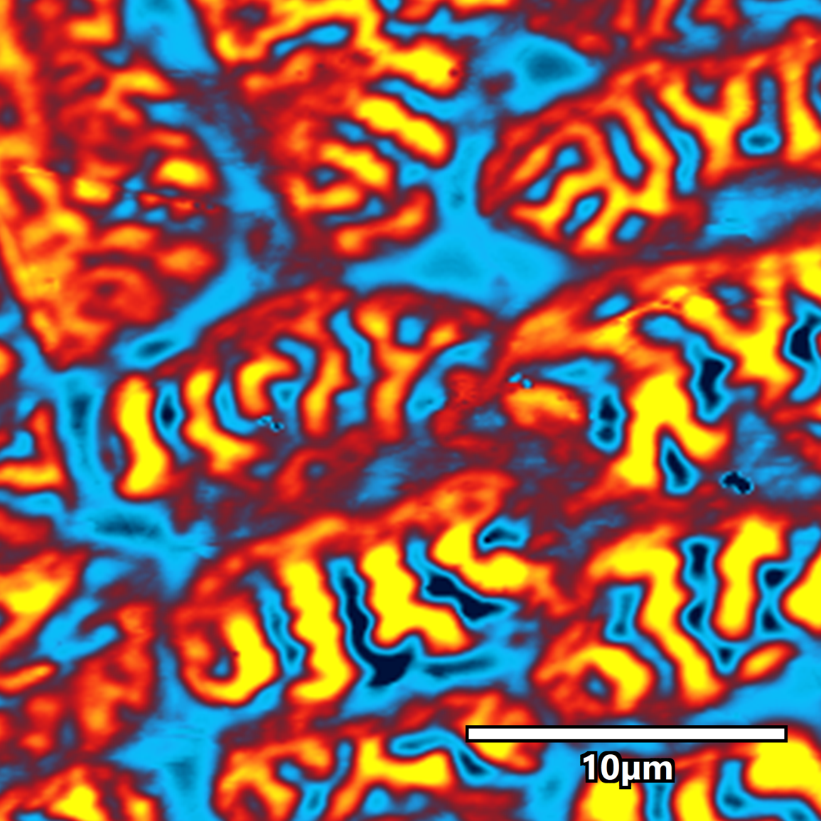 Picture shows magnetic domains in uranium with a blue and orange organic shapes, similar to lava flowing through water, but in graphic form