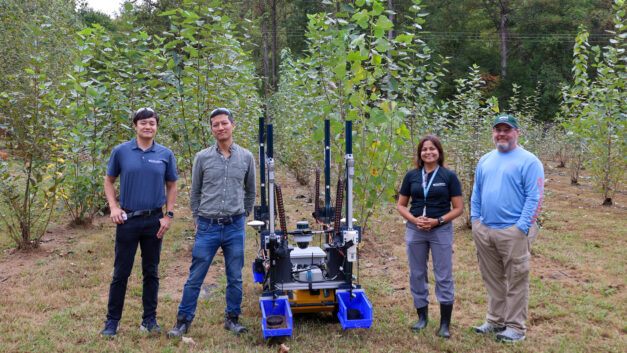 ORNL Placeholder Image