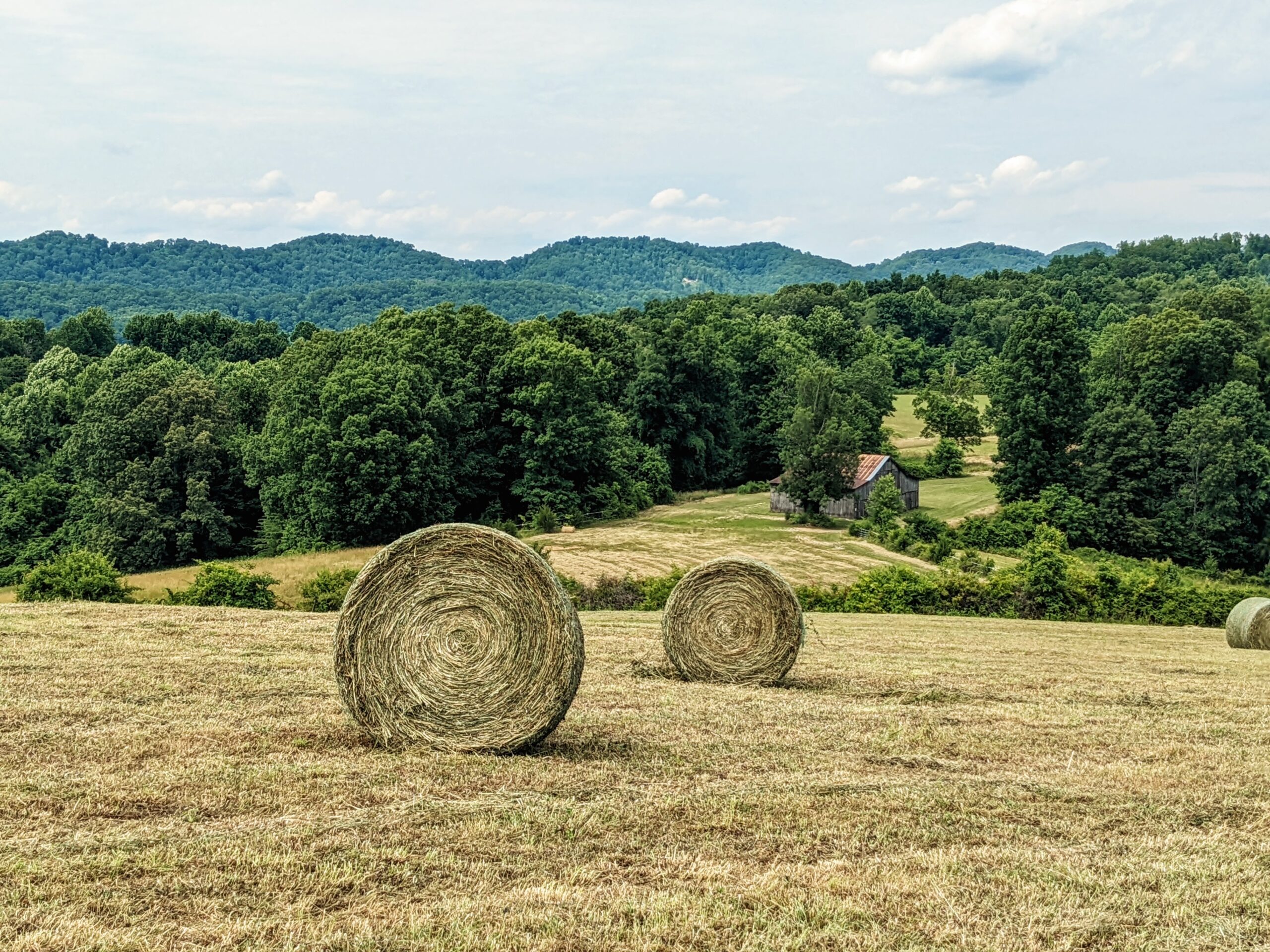 farm