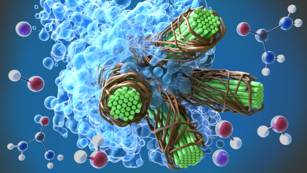 ORNL Placeholder Image