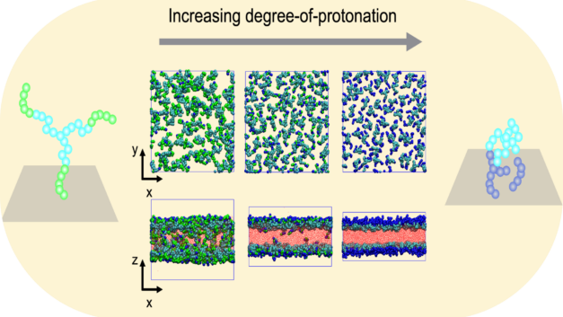 ORNL Placeholder Image
