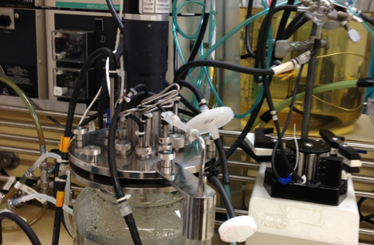 ORNL Placeholder Image
