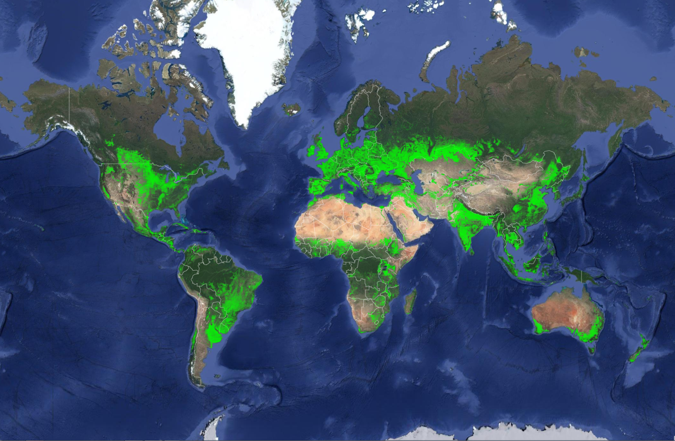 : ORNL climate modeling expertise contributed to an AI-backed model that assesses global emissions of ammonia from croplands now and in a warmer future, while identifying mitigation strategies. This map highlights croplands around the world. Credit: U.S. Geological Survey