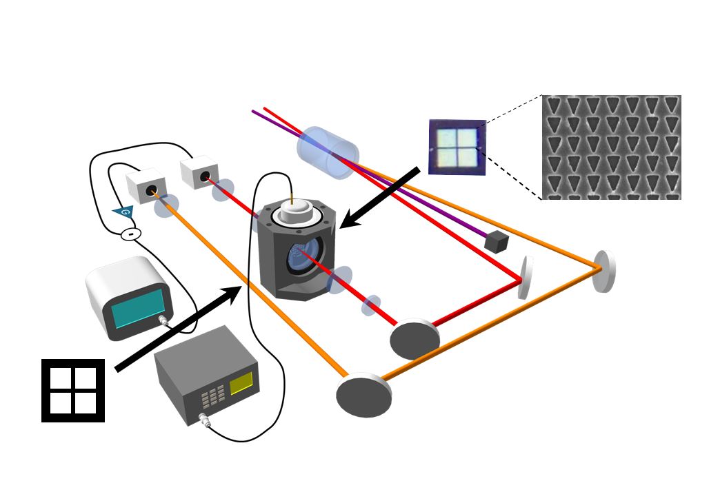 An image depicting the process of parallel quantum-enhanced sensing