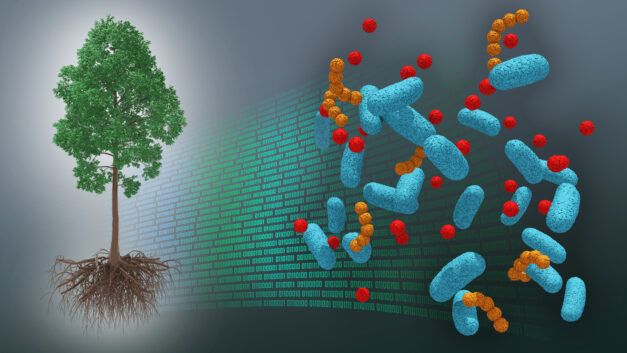 ORNL Placeholder Image