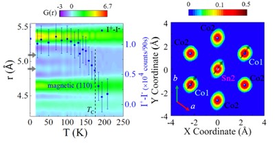 Hidden Local Symmetry Breaking for Understanding the Peculiar Magnetism in Co3Sn2S2