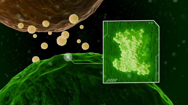 ORNL Placeholder Image