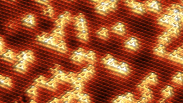 ORNL Placeholder Image