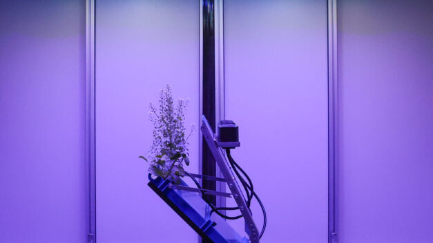 ORNL Placeholder Image