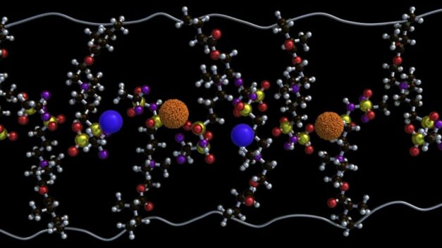 ORNL Placeholder Image