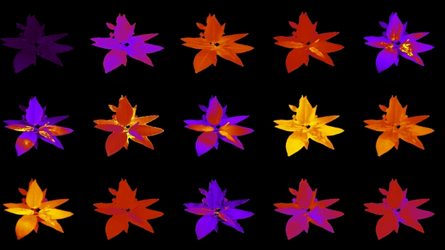 ORNL Placeholder Image