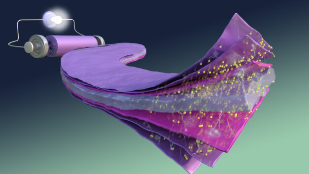 ORNL Placeholder Image