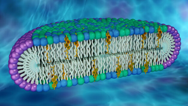 ORNL Placeholder Image