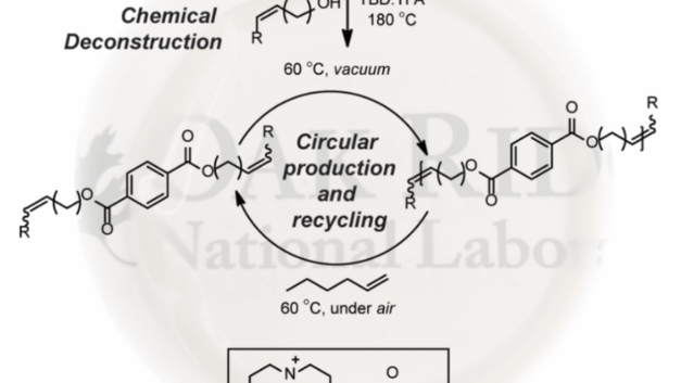 ORNL Placeholder Image