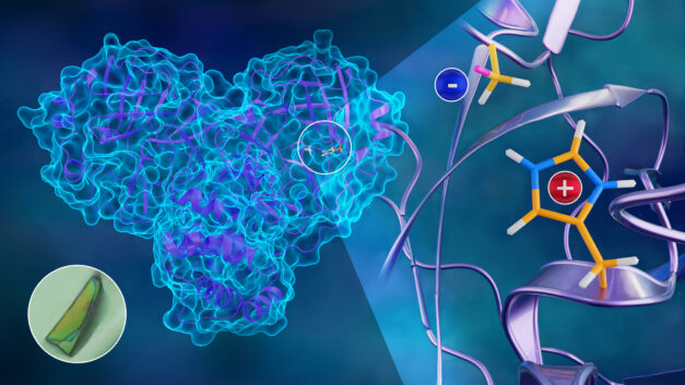 ORNL Placeholder Image