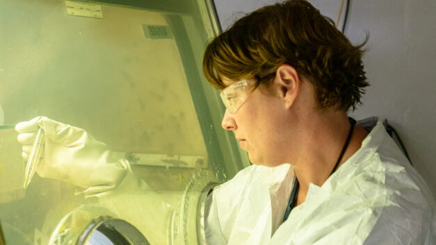 ORNL Placeholder Image