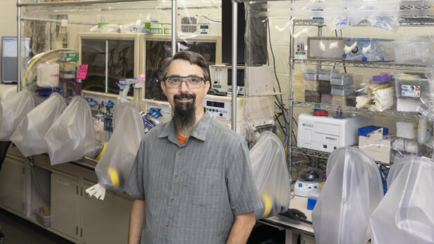 ORNL Placeholder Image