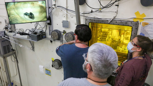 ORNL Placeholder Image