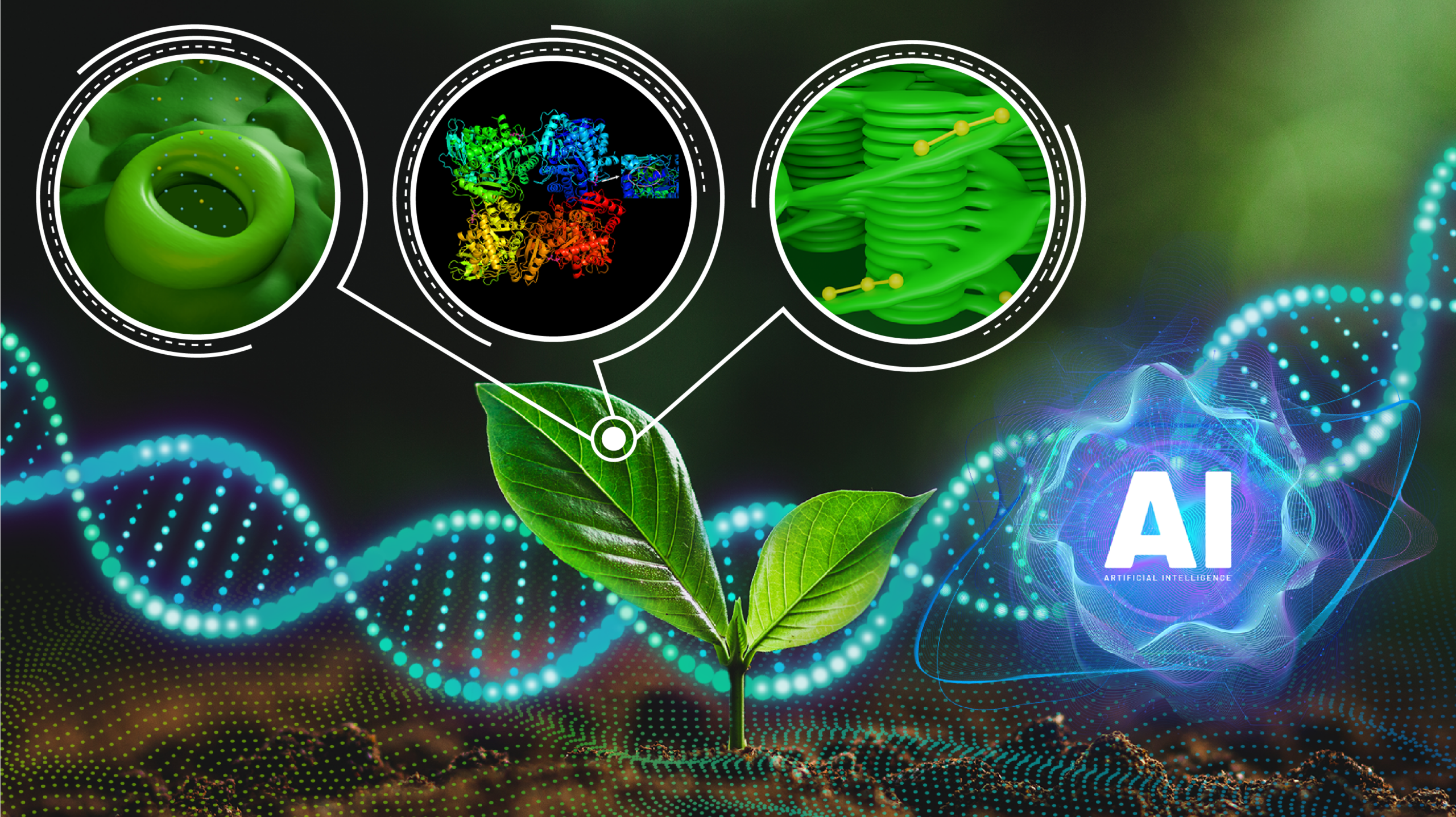 Scientists at ORNL are using AI to optimize plant photosynthesis