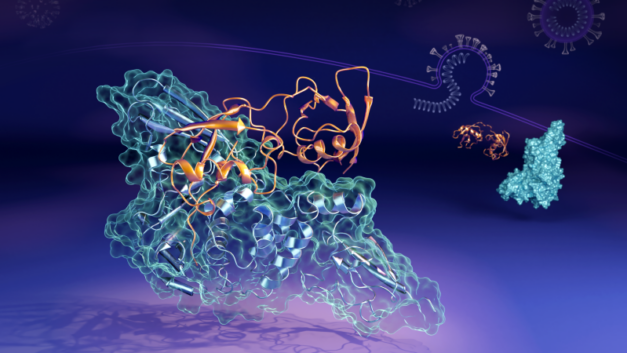 ORNL Placeholder Image
