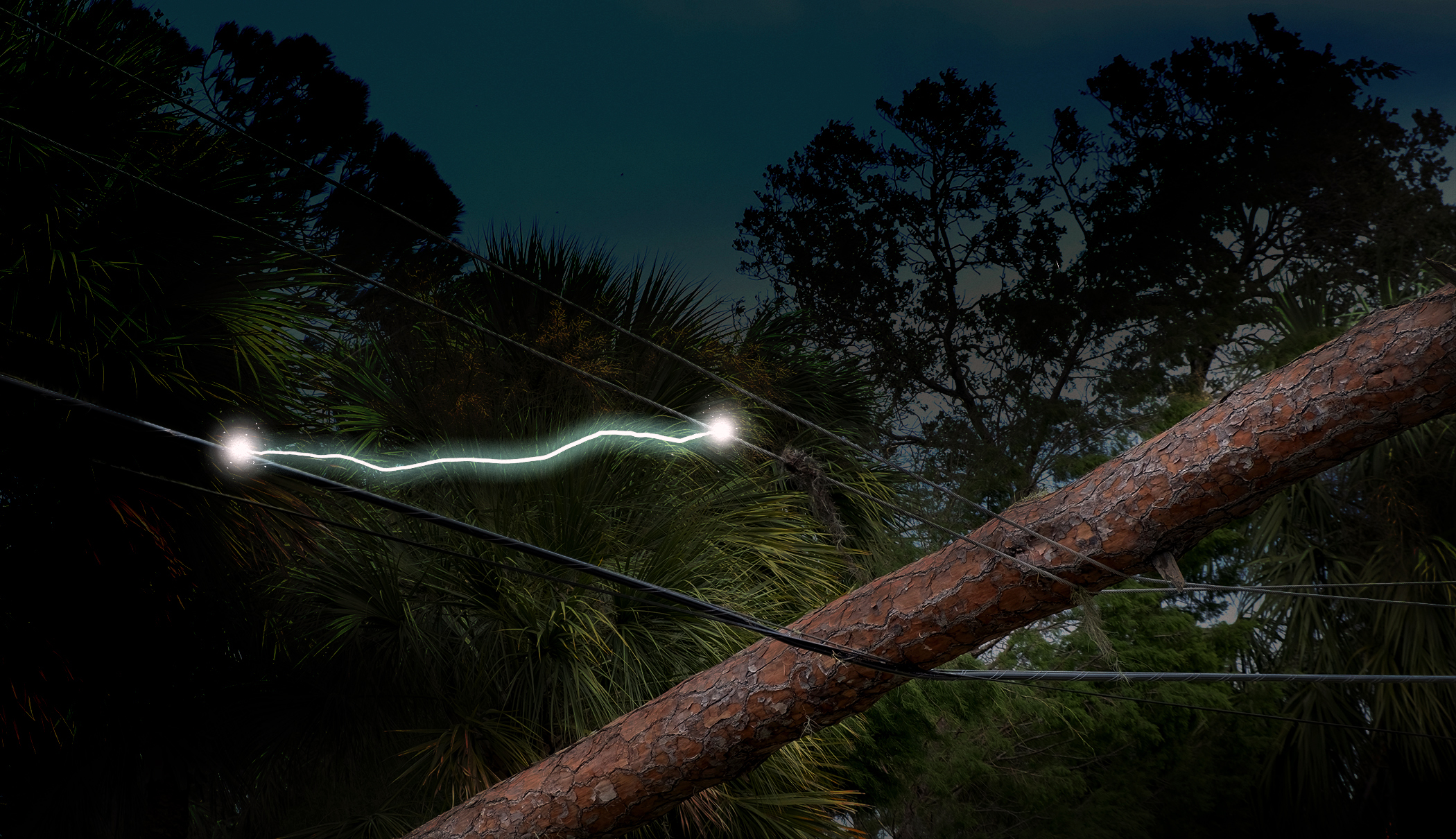 Electric arc flashes between power lines beside a fallen tree at dusk.