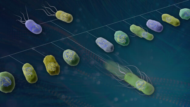 ORNL Placeholder Image
