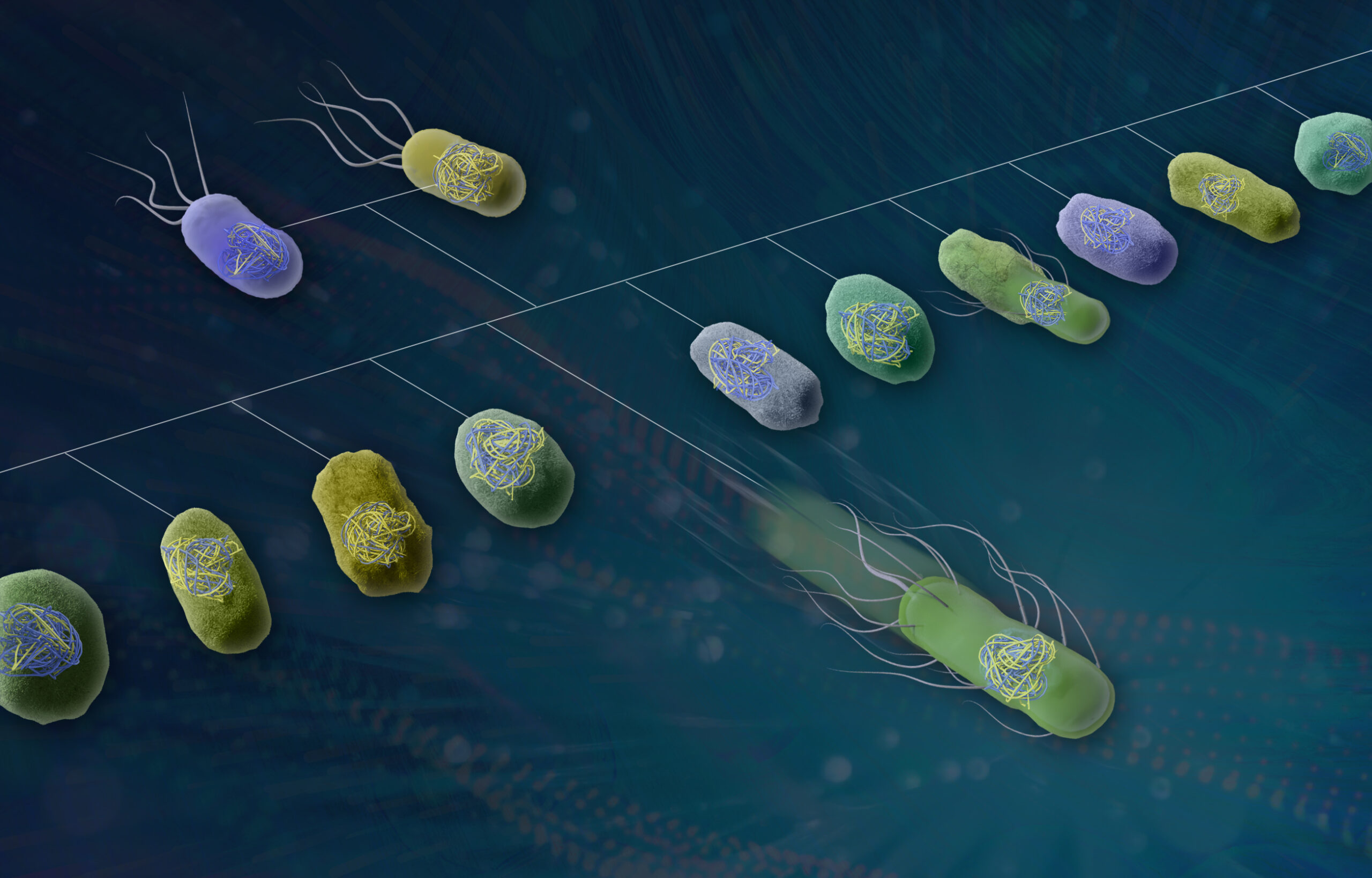 Illustration of a bacterial family tree showing diverse bacterial cells connected by branching evolutionary relationships.