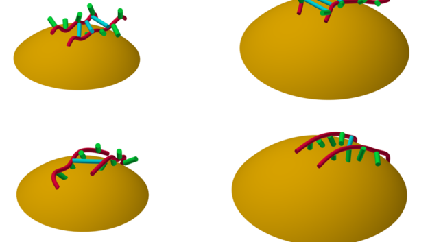 ORNL Placeholder Image