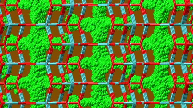 ORNL Placeholder Image