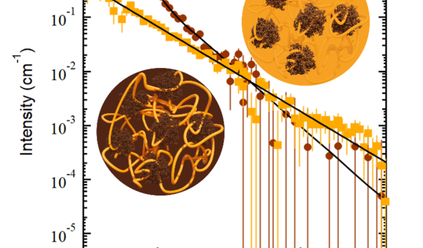 ORNL Placeholder Image
