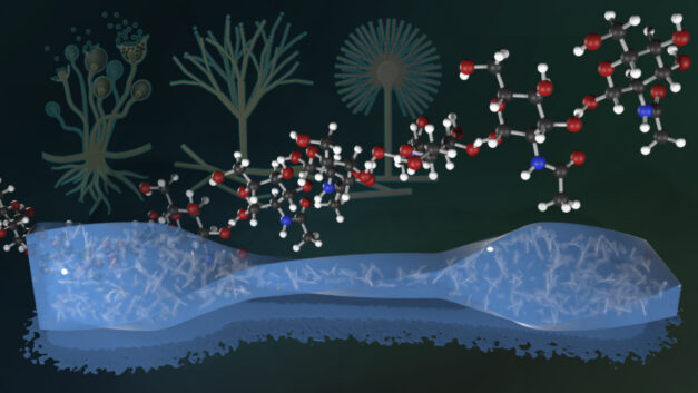 ORNL Placeholder Image