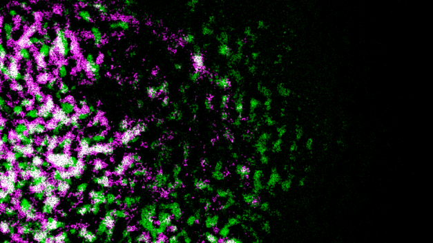 ORNL Placeholder Image