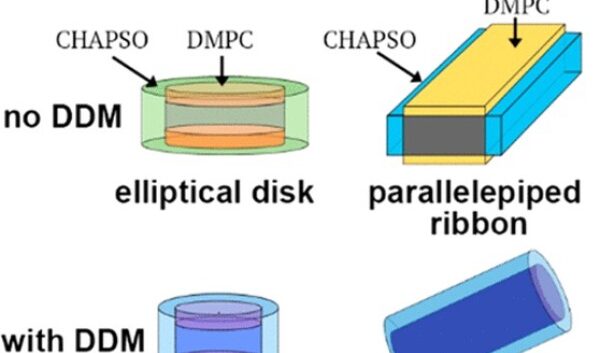 ORNL Placeholder Image