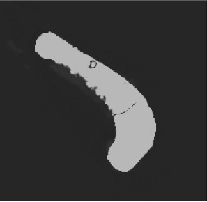ORNL Placeholder Image