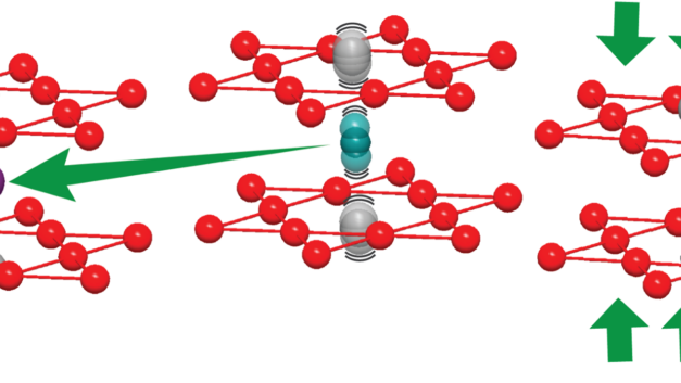 ORNL Placeholder Image