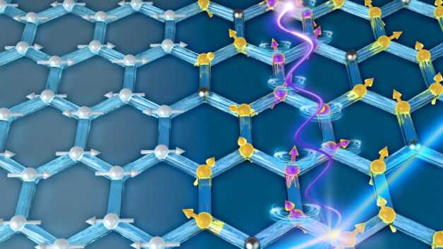 ORNL Placeholder Image