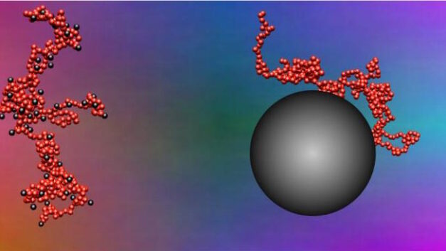 ORNL Placeholder Image