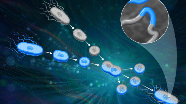 ORNL Placeholder Image