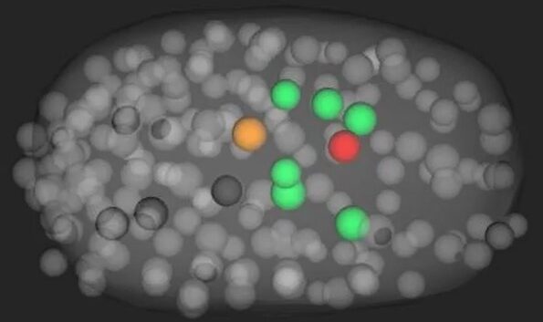ORNL Placeholder Image