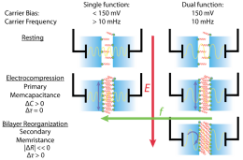 ORNL Placeholder Image