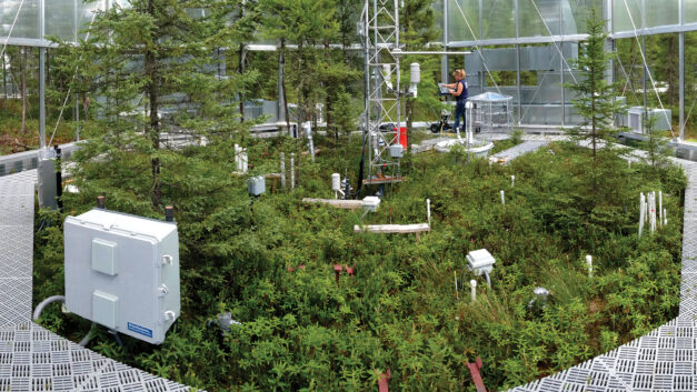 ORNL Placeholder Image